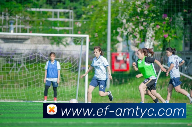 App Interface Preview